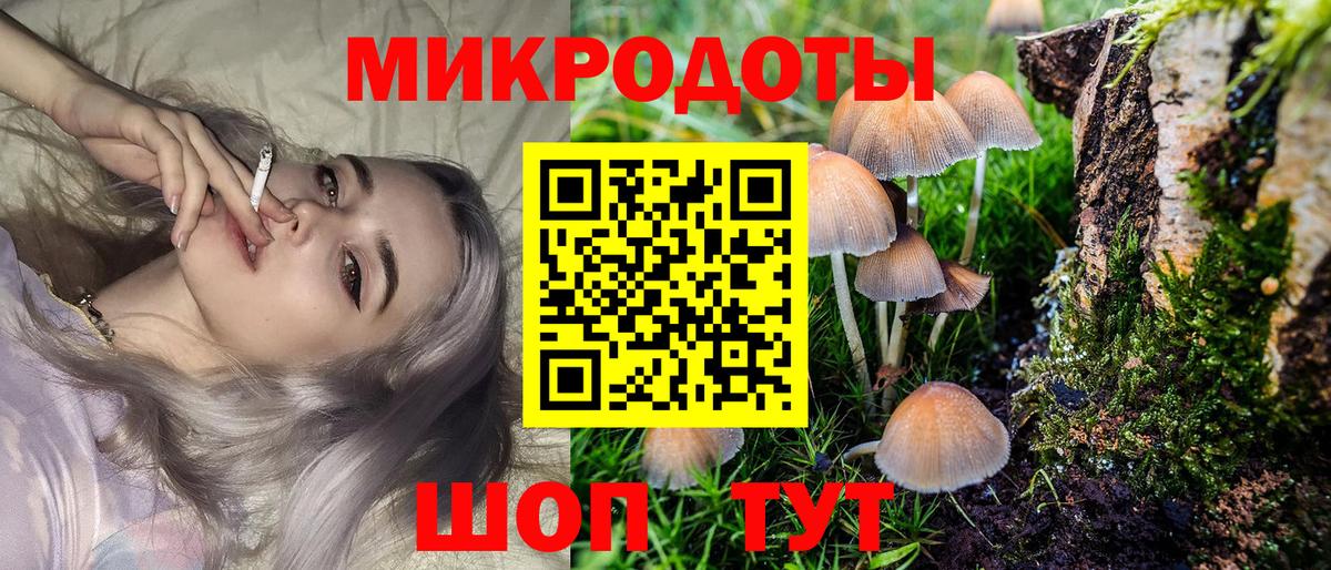 Псилоцибиновые грибы мицелий Ачхой-Мартан